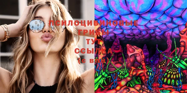 круглые Алзамай