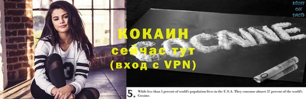 круглые Алзамай