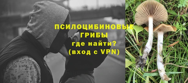 трава Алексеевка