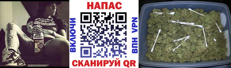 Каннабис семена  Геленджик 